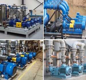 Chemical Process Pump, Chemical Feed Pump